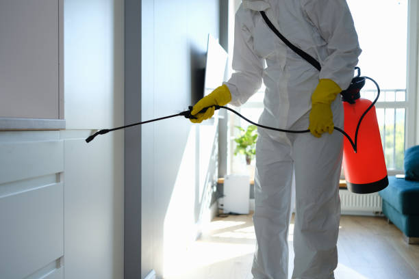 Best Office Mold Removal Services  in Eagle Mountain, UT